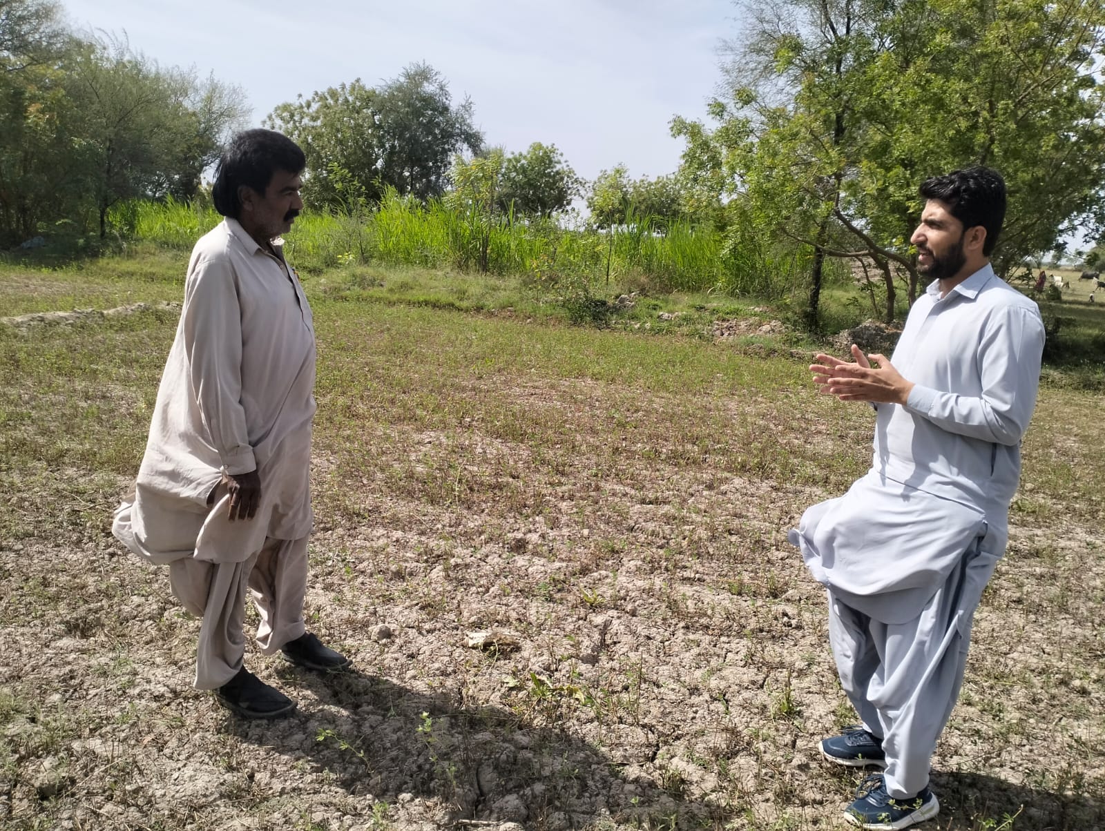 Muhammad Tayyab